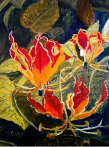 gloriosarothchildiana