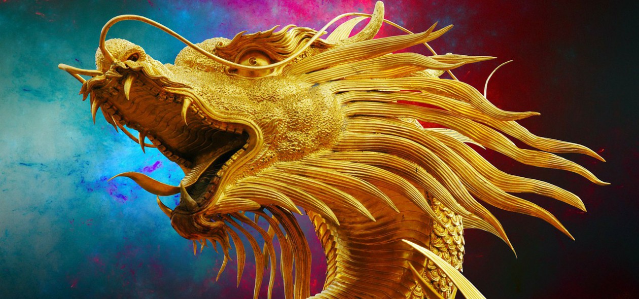 Dragons Rule OK. V.M.Sang (author)