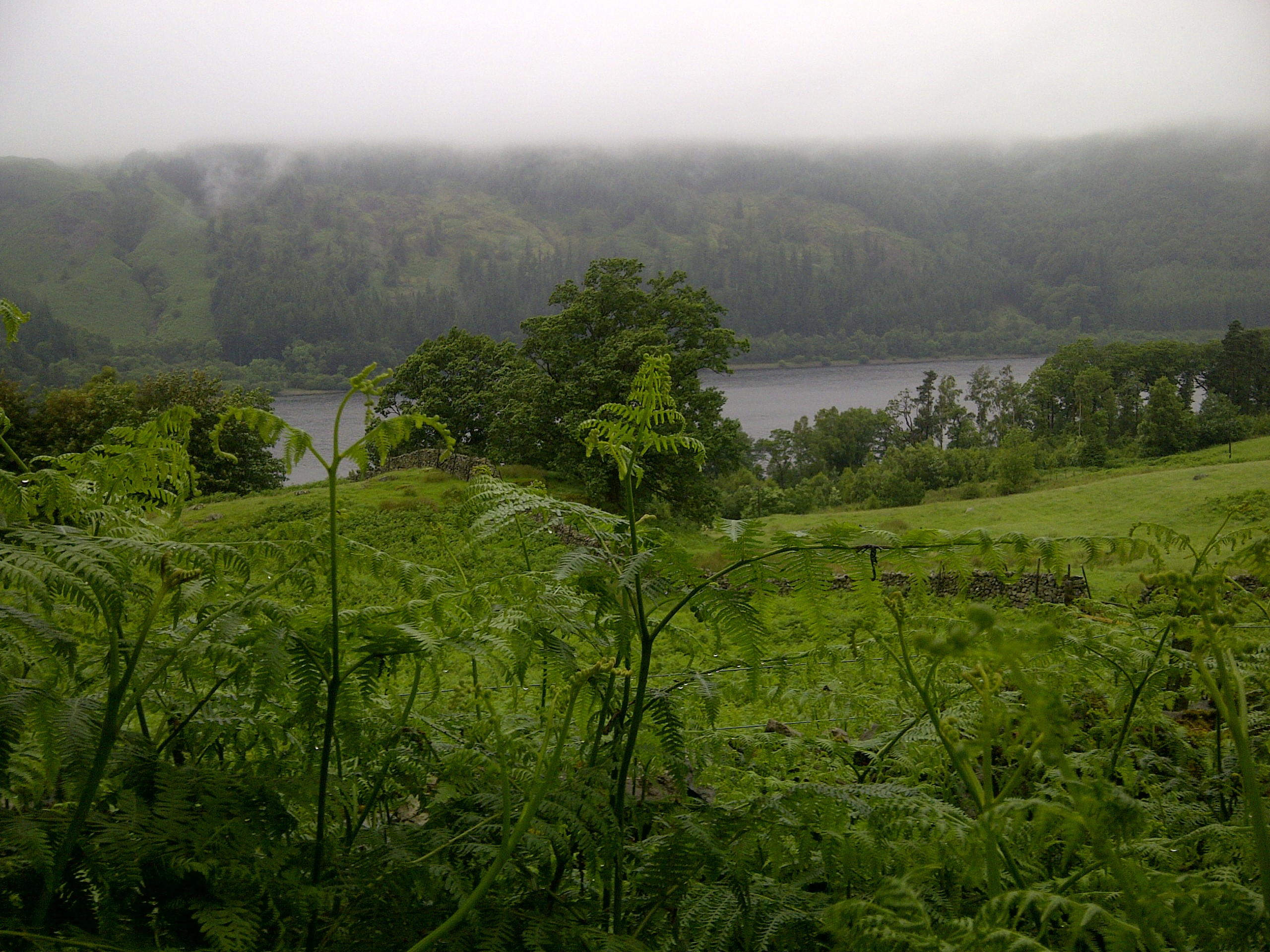 viewthirlmere